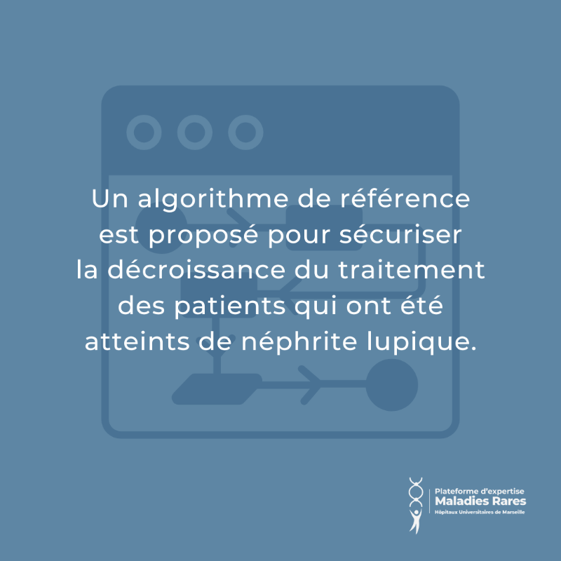 aphm_actu's tweet photo. #MARDIACTU #RECHERCHE #MALADIESRARES 👨‍🔬 Un algorithme sur le sevrage du traitement immunosuppresseur d’entretien de la néphrite lupique.

@com_SFNDT @jolupus81 @FranceRein @FiliereORKiD @contactfai2r @AllianceMR @marmara_amu