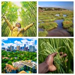 Photo by Trust For Sustainable Living (@TSLEd4SustDev)