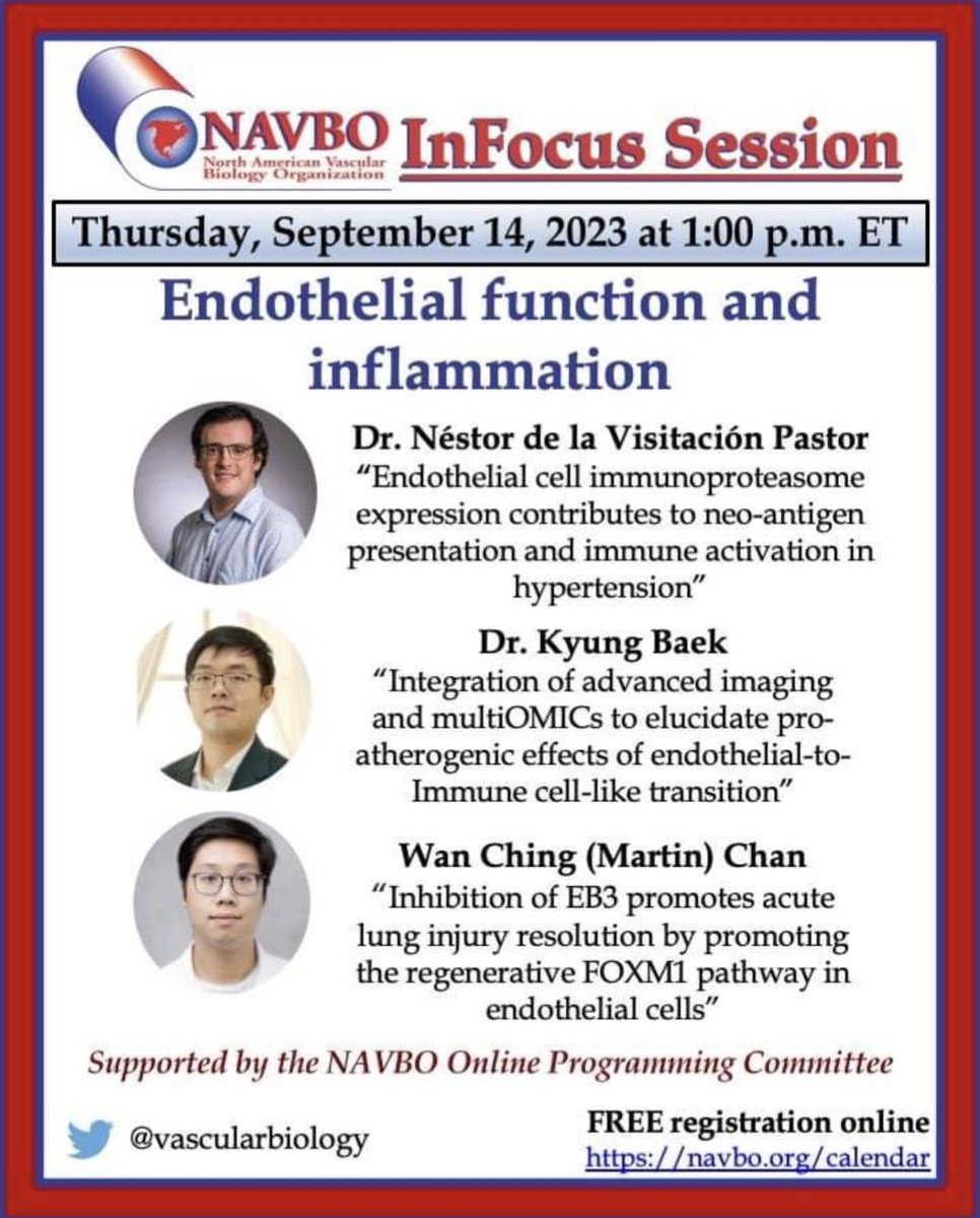 vascularbiology's tweet photo. Join our InFocus Session on Sept 14 at 1PM EST!!

Endothelial function and inflammation

Speakers were chosen from Abstracts submitted to #IVBM2023

Free registration to all members or non-members: https://t.co/PwmBdMoDqD https://t.co/g8BjAbD9LX