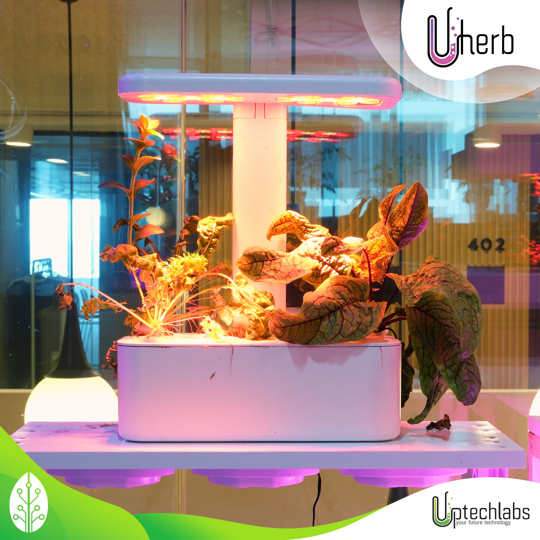 Uptechlabs tweet media