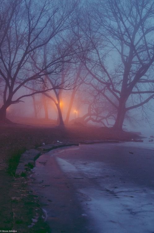violettweets_'s tweet photo. misty morning. https://t.co/ZLt7CVHWwM