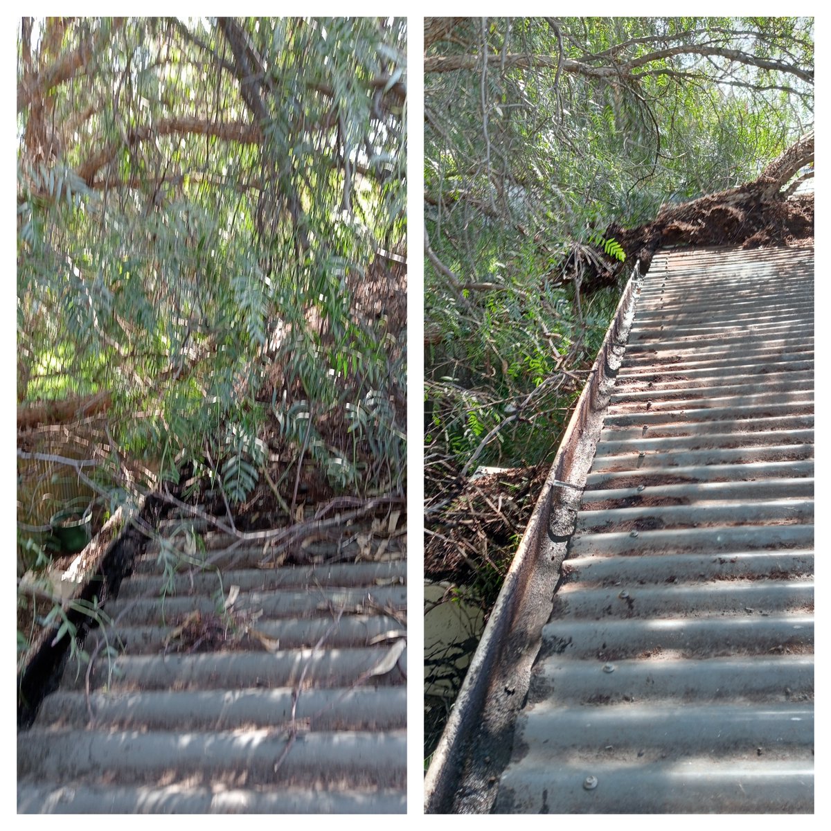 GutterSa's tweet image. Gutter Cleaning in Glynde
gutterguysadelaide.com/commercial-gut…