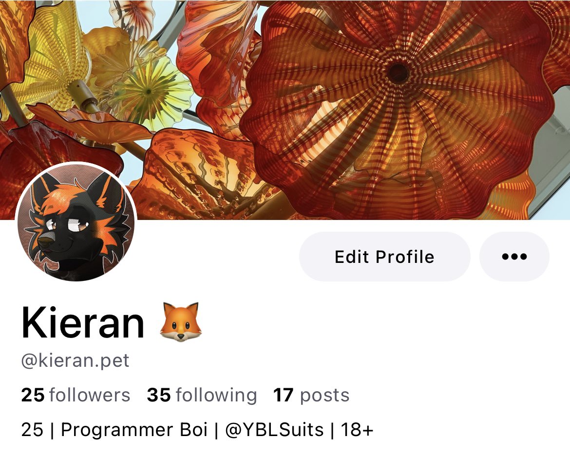 Kieran 🦊 @Home🔜MegaPlex tweet media