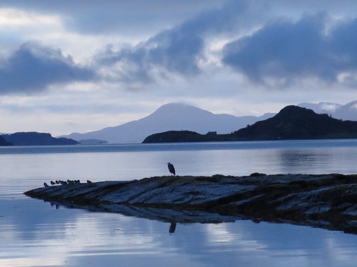 📢Welcoming MaCCOLL (Marine and Coastal Conservation of Loch Linnhe) as the 25th member to CCN!

They are based in Duror & Kentallen and seek to protect and enhance the natural environment Loch Linnhe, & promote its safe and sustainable enjoyment.