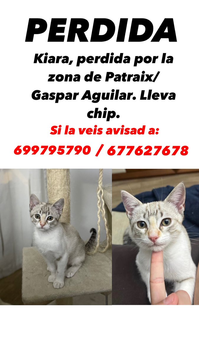 portfurio's tweet photo. Difundid por favor 🙏🏼😓 https://t.co/qbXNsoAW9U