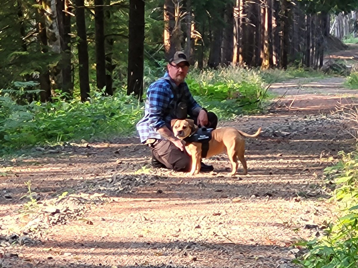 Rev. Ducati ⚔️🪓 tweet media