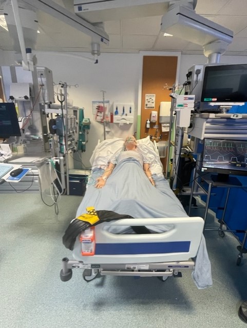 RGUC Simulation Centre (@rguc_simulation) on Twitter photo Today HAL helped out on ITU for Insitu Training for our critical care team, lots of discussion points, reflection and teamwork. Thanks for having us! #simlife #learntogethertoworktogether <a href="/RHH_ICU/">Russells Hall Hospital Critical Care Unit</a> <a href="/DudleyGroupNHS/">The Dudley Group</a> Today HAL helped out on ITU for Insitu Training for our critical care team, lots of discussion points, reflection and teamwork. Thanks for having us! #simlife #learntogethertoworktogether <a href="/RHH_ICU/">Russells Hall Hospital Critical Care Unit</a> <a href="/DudleyGroupNHS/">The Dudley Group</a>