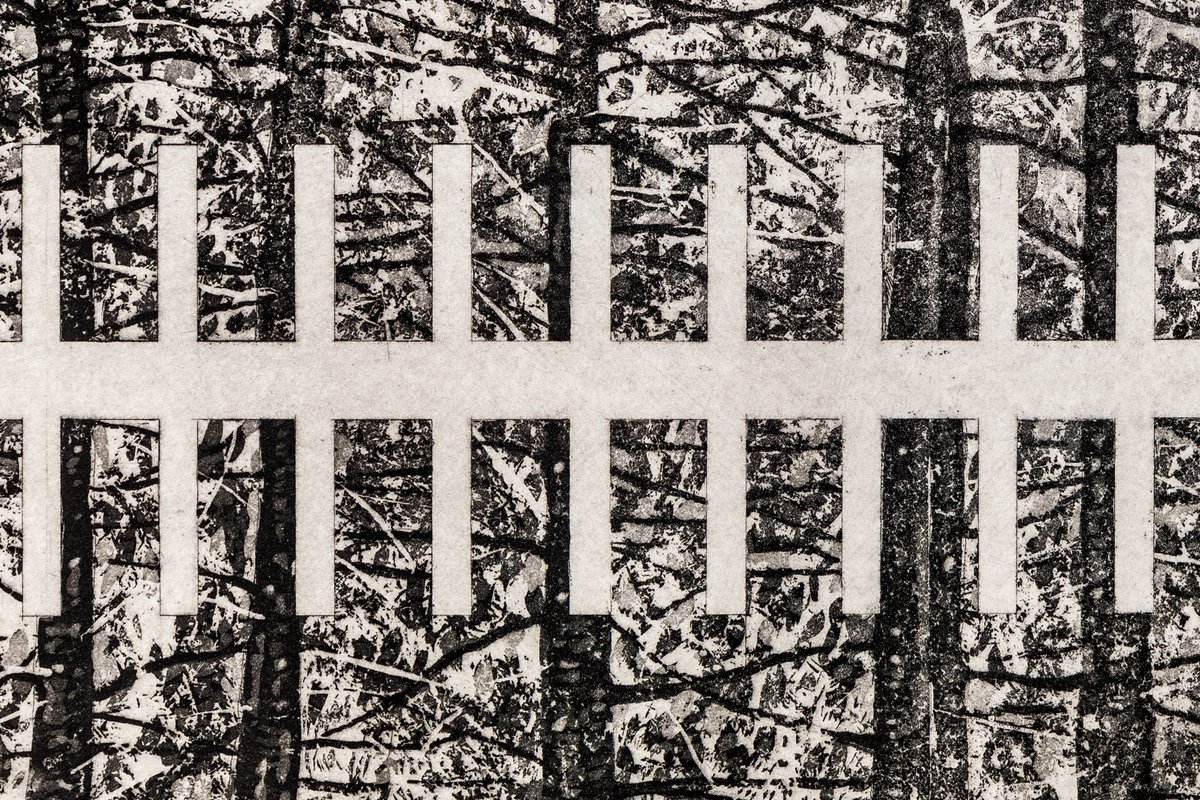 mbellasartes's tweet photo. Esta semana 📣: ¡Imperdible la exposición “Francisco Castro Leñero. Una lógica de la belleza”!

A partir 👉🏽 del jueves 14 de septiembre.

Además, tenemos exposiciones, actividades familiares y mucho más.

#LunesDeCarteleraSemanal

Más información: https://t.co/BKid6spegz https://t.co/MGfIByX47K