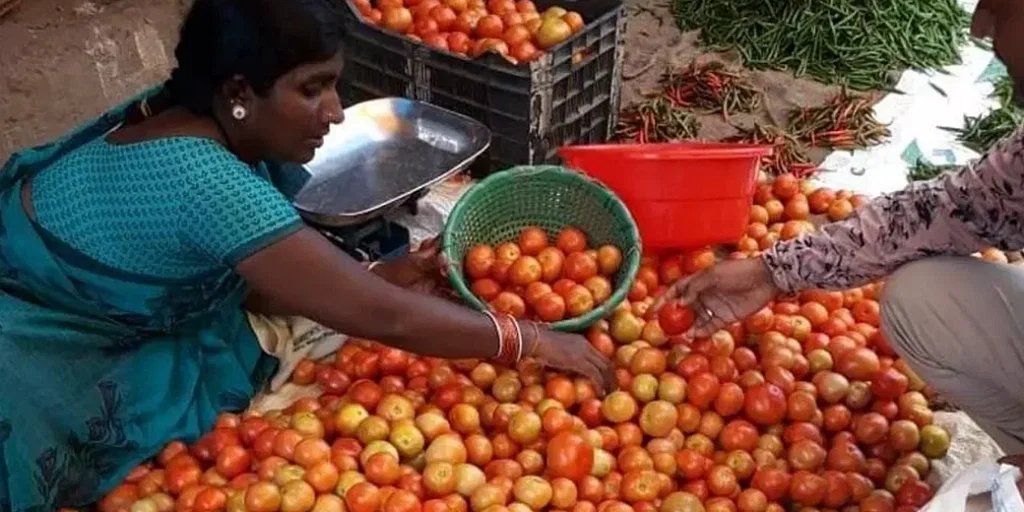 बीते एक महीने के दौरान कृषि उपज मंडियों में टमाटर की आवक में दोगुने से ज्यादा की बढ़ोतरी हुई है.
hindi.money9.com/trending/tomat…
#tomatoprice #money9
