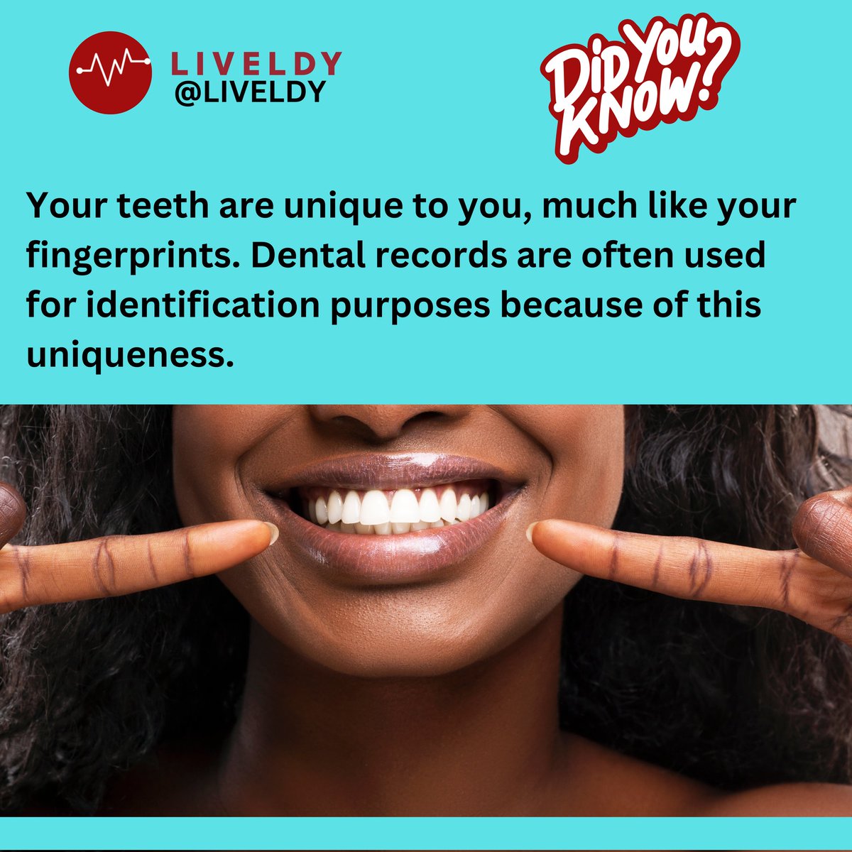 liveldy's tweet photo. Did you know your teeth are much like your fingerprints? They are unique to you and can be used as a means of identification!

#amazingfacts #healthfacts https://t.co/tjlpyBXZDW