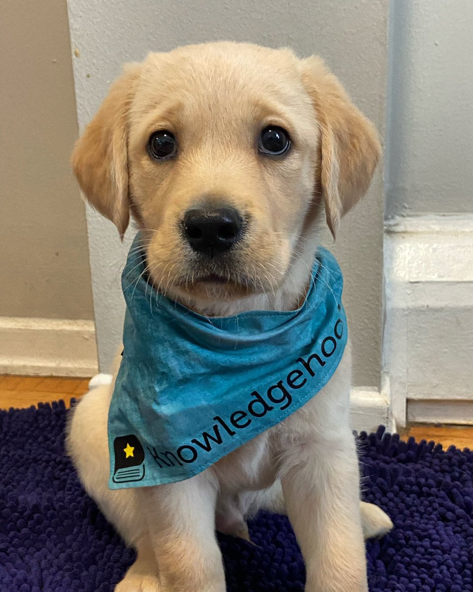 heathersryan's tweet image. Oh hey #k12 educators!!
Have you checked out @knowledgehook yet? 
What are you waiting for?
It has curriculum aligned #math content ready for you to use in class…AND it has classroom-centered PD resources to support your teaching practice built right in!!
#hookedonknowledgehook