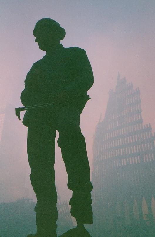 Alison Thompson OAM tweet media