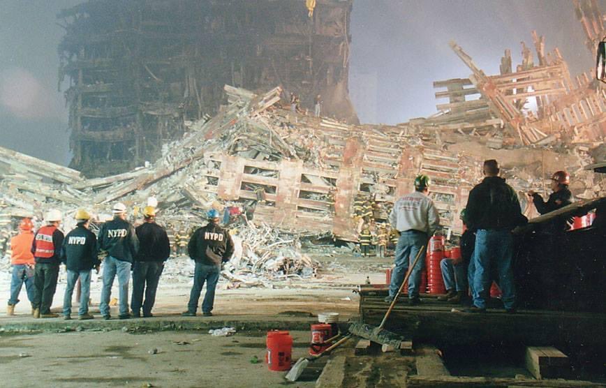 Alison Thompson OAM tweet media