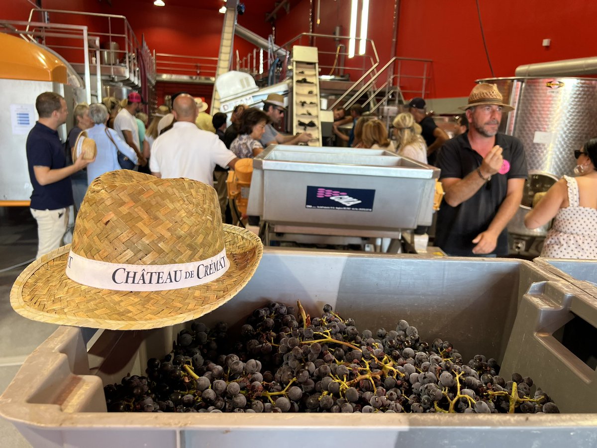 ExploreNCA's tweet photo. L’OTM Nice Côte d’Azur a participé à une matinée immersive au Château de Crémat en compagnie de @tderichebourg, propriétaire du domaine, à l’occasion des vendanges.
De la récolte du 🍇 au suivi des étapes de vinification … Une expérience exceptionnelle !
#ExploreNiceCotedAzur https://t.co/SM1wJzmhwF