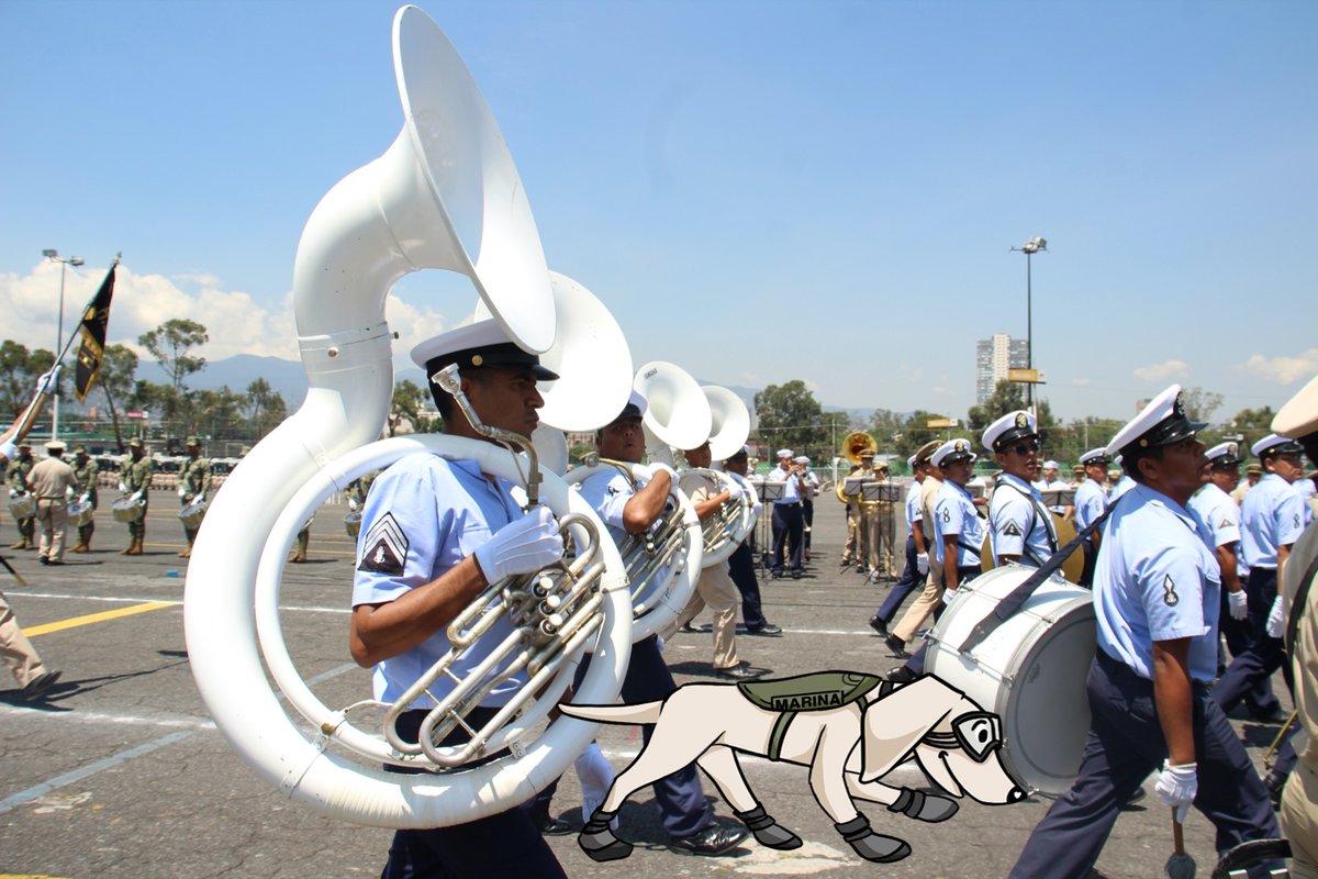 Marcándonos el compás rumbo a #OperaciónPatria2023, nuestros #MúsicosNavales les desean un #FelizLunes.

Este 16 de septiembre, #AlíneateConMaya.

#LomitosDesfilando
 #HuellitasAlDesfile