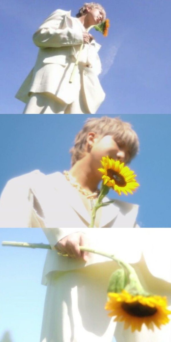 ➹𝙢𝙤𝙣𝙞.𝙢𝙤𝙣𝙞𝙚🐨●⁷⊙⊝⊜ tweet media