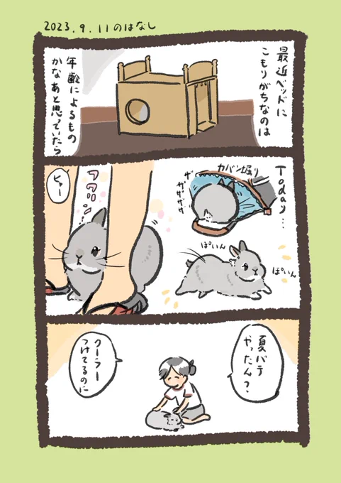 換毛期は疲れるみたいですね🥲

#うさぎのいる生活 