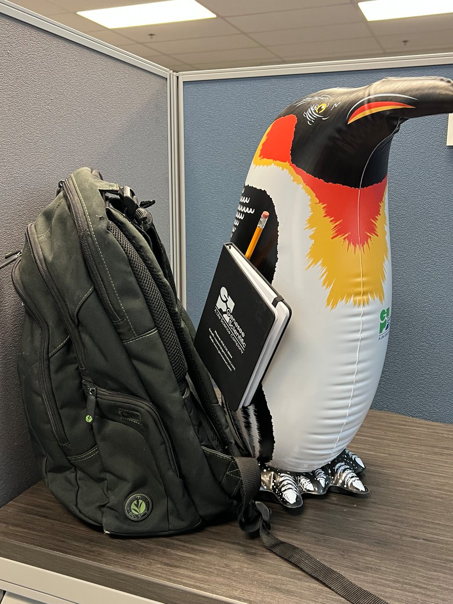 geneseesci's tweet photo. 🐧 #PebblesThePenguin is ready for #BackToSchool! 📚 What are your tips for a successful back to school season?
Post a photo of your #PebblesThePenguin in his best back to school gear and tag us!
#PebblesLabLife #GeneseeSci #ScienceLife #labpet https://t.co/WahDhvcYLu