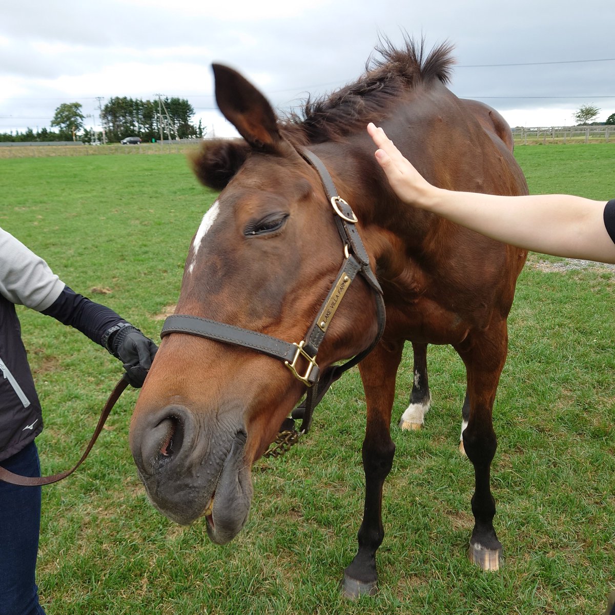 きゅーご(9-5)🟣 tweet media