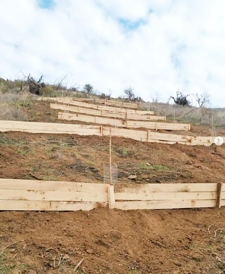 biocys_cl's tweet photo. Las empalizadas son obras de control de erosión en laderas.
Contribuyen a disipar la escorrentía en los taludes, reducen la velocidad del flujo y acumulan sedimentos que favorece a la rehabilitación del ecosistema.
Santuario de la Naturaleza Quebrada de la Plata🌱 https://t.co/YHCsuyK1GL