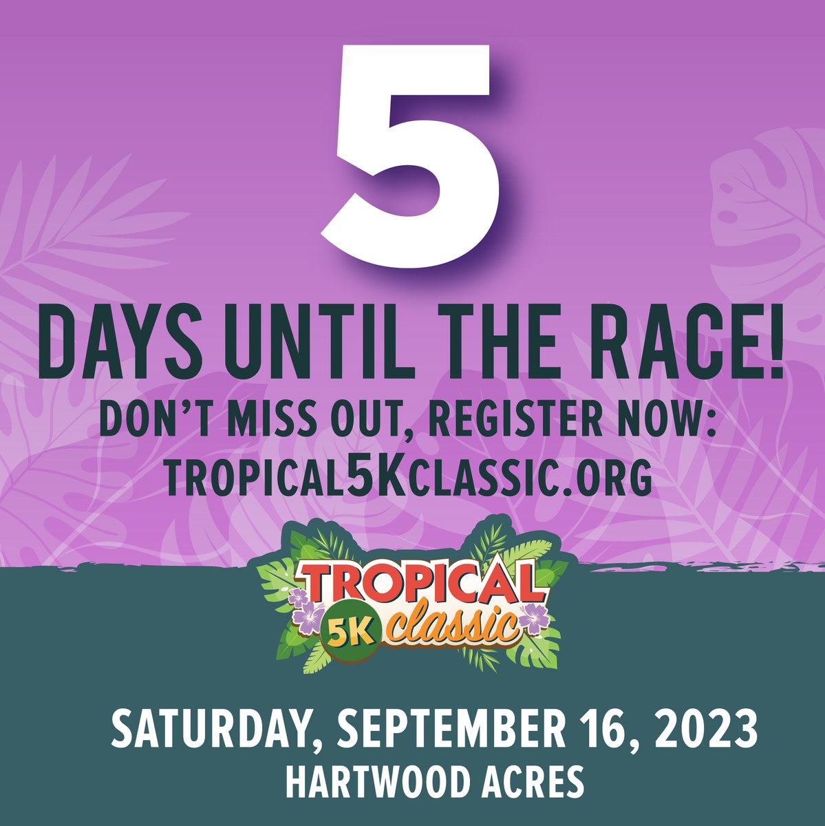 Tropical 5K Classic tweet media