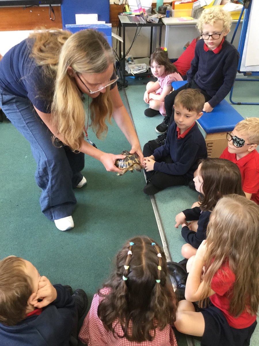 Burford Primary School tweet media