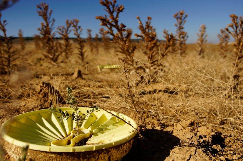 groasis's tweet image. China Turning Greener. Ordos hosted the Ninth Kubuqi International Desert Forum in Aug and is a key land sandification prevention belt. Have they heard of the #Groasis Watersaving Technology? Green this desert with the #Waterboxx!
epaper.chinadaily.com.cn/a/202308/25/WS…
groasis.com/en/projects/re…