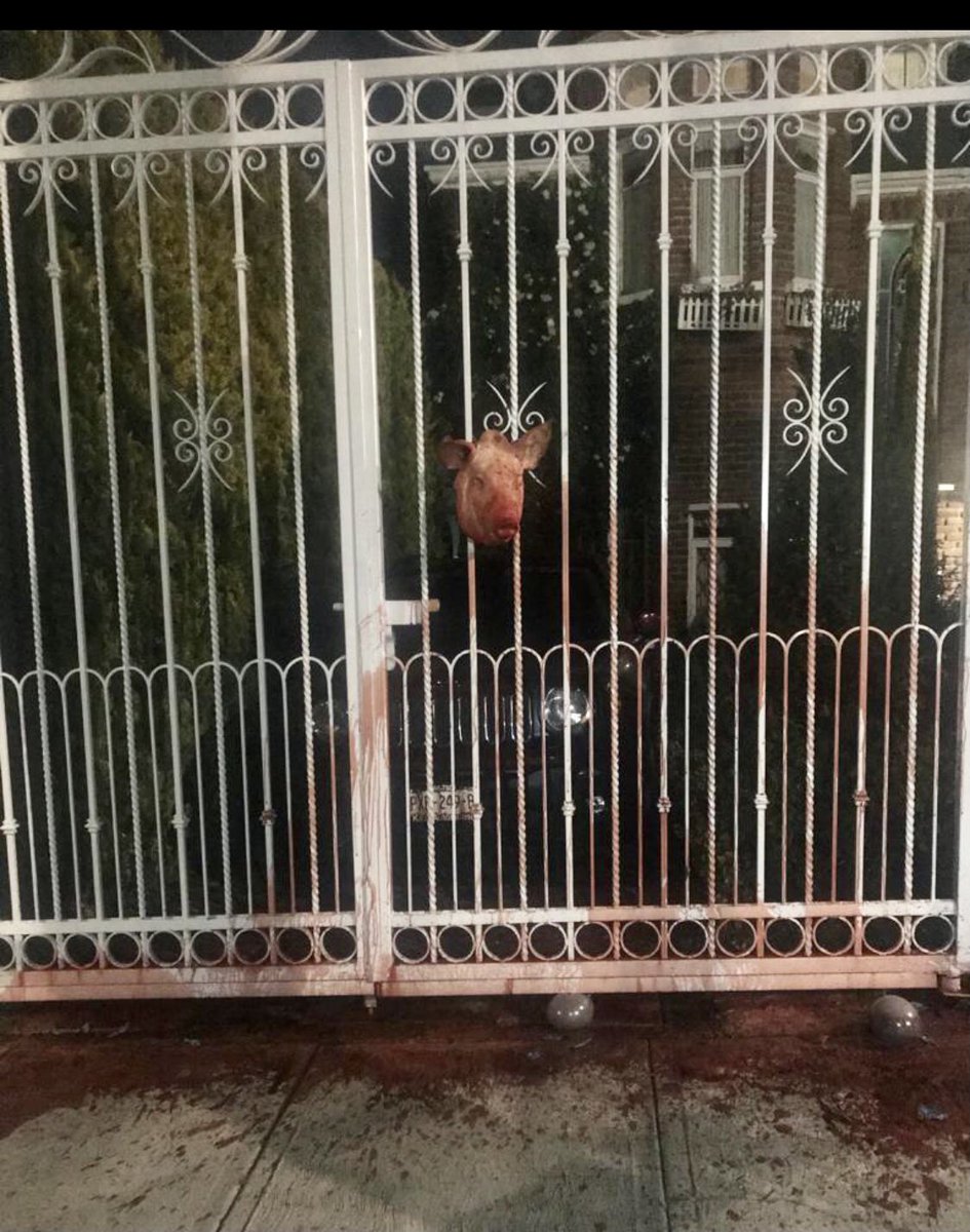 noor_8a's tweet photo. @c4jimenez @Alc_Iztapalapa @SSC_CDMX @FiscaliaCDMX Eso mismo hacen a los vecinos que denunciamos la ilegalidad, corrupción e inseguridad, que impera en #CondadodeSayavedra, municipio, #AtizapánDeZaragoza , #Edomex y que las autoridades municipales y estatales ENCUBREN, nos los dejan en nuestras casas. https://t.co/cHFd7sF4yn