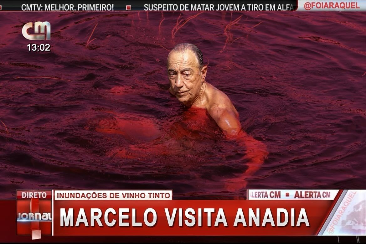 Marcelo Rebelo de Sousa foi provar o novo rio tinto em Anadia