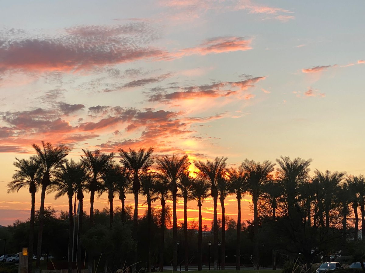 MilenaM_MM's tweet photo. Super excited for #DRJFall in Phoenix, Arizona. It is fantastic to meet colleagues, peers, and network with industry leaders. We are here with the @ResilienceTT  come and say hi. https://t.co/Eh1hcTF9CV