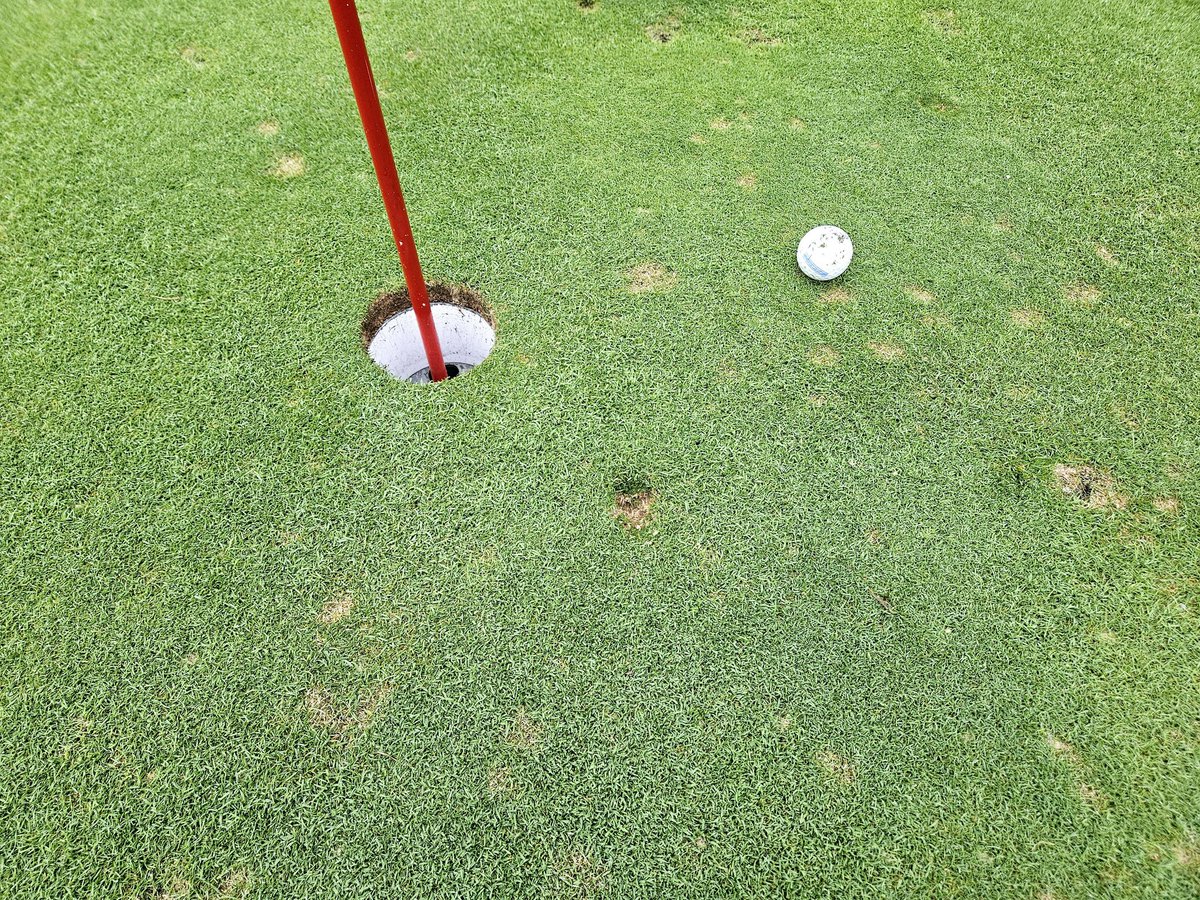 I wave at dogs. tweet media