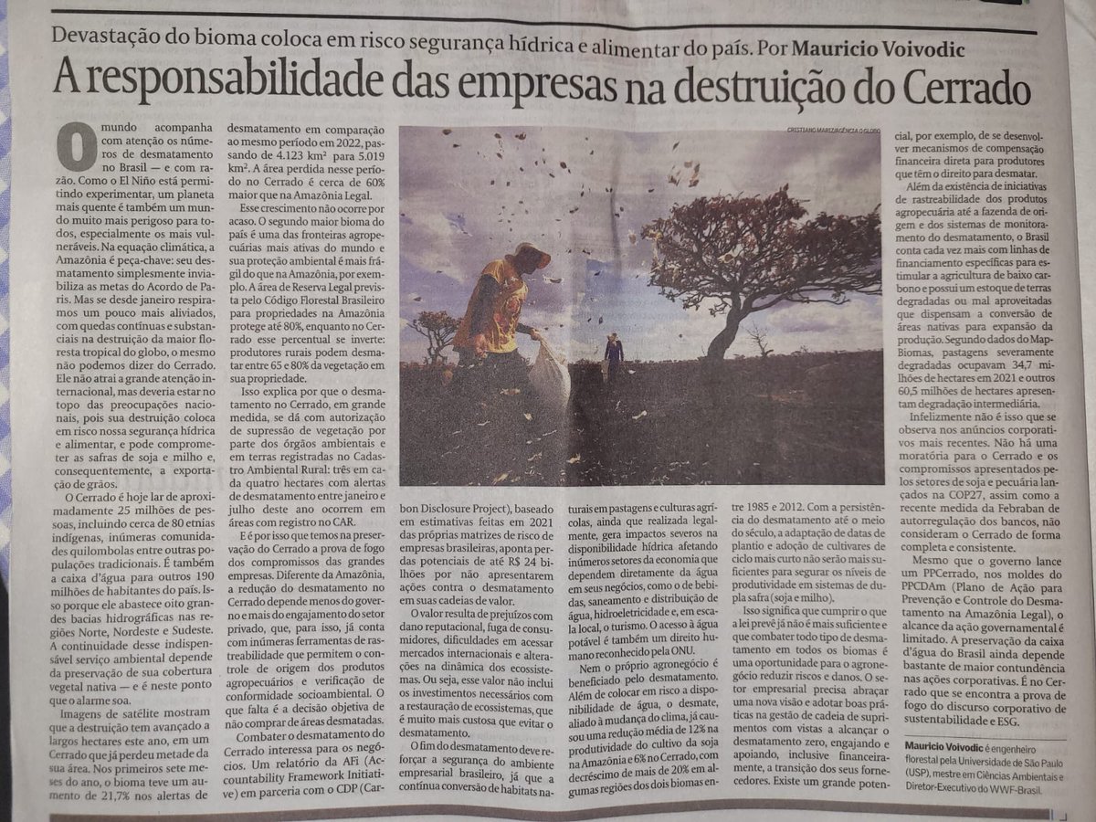 mauvoivodic's tweet photo. Diferentemente da Amazônia, a redução do desmatamento no Cerrado depende menos de ação governamental e mais da ação do setor privado. E isso seria ótimo para os negócios.

É o que procuro discorrer neste artigo, em celebração ao Dia do Cerrado.

https://t.co/hOxZVt3Sog https://t.co/vZBduBsegy