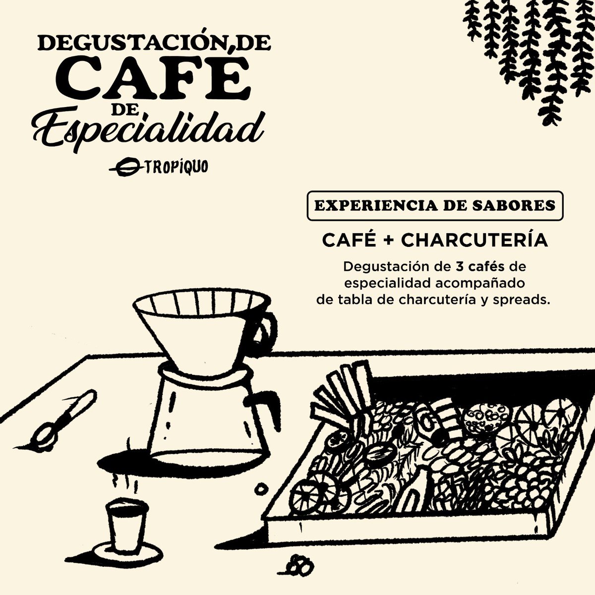 nunoacosta's tweet photo. Vive una experiencia del café de especialidad con @tropiquo el sábado 16 de septiembre a las 3pm en Arcos Plaza Samborondón @circulo_naranja .

+ degustación de 

+ nuestra bebida de autor: el Pistachino.

Precio: $25
Hora: 3-5pm https://t.co/O8HSY2gArz