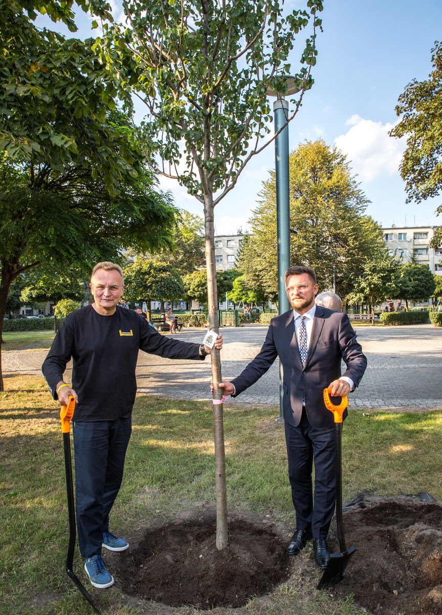 miasto_katowice's tweet photo. Pamiątkową Gruszę posadzili dziś na Placu Miast Partnerskich - Andrij Sadowy, Mer Lwowa i Marcin Krupa, Prezydent #Katowice.🌳W Katowicach-Ligocie, przy ul. Koszalińskiej, Słupskiej i Świdnickiej wśród zielni znajduje się granitowy globus, który wskazuje kierunki i odległości do miast partnerskich, a także postumenty związane z tymi miastami oraz drzewa im dedykowane.❤️Dziś podczas uroczystej Sesji Rady Miasta Katowice podpisano umowę o partnerstwie z Lwowem.💪🏻foto. S. Rybok