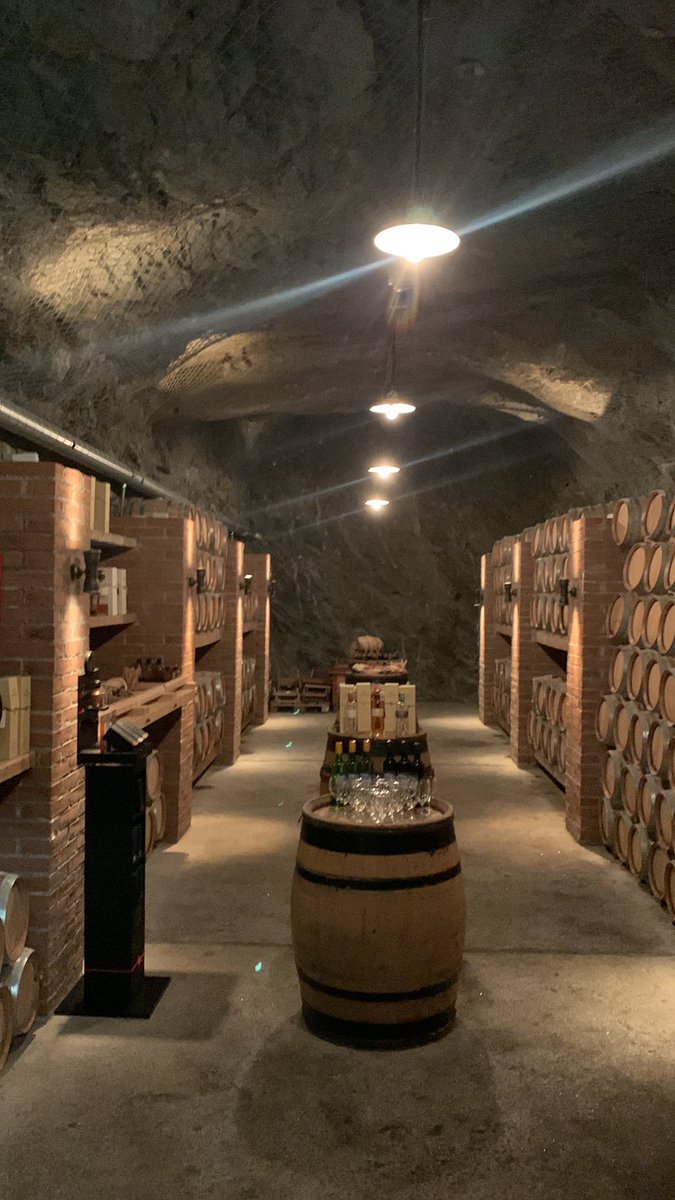 jbsan8's tweet image. Safest assets! Portfolio diversification is the way to go!

#rum #balsamic #finance