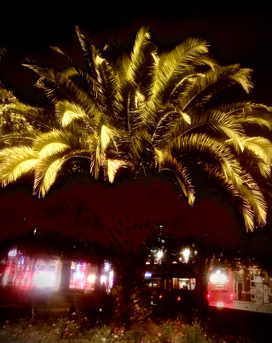 #tropical nights #hackney #london