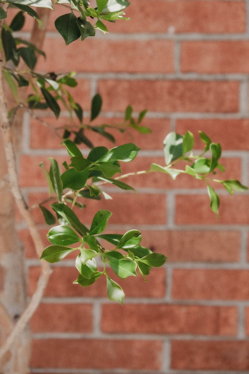 Lunes, una oportunidad de seguir adelante de nuevo. Una oportunidad de seguir dando paso hacia eso que nos mueve. Les deseamos una excelente semana, aquí estaremos para apoyar en eso, con café e inspiración.