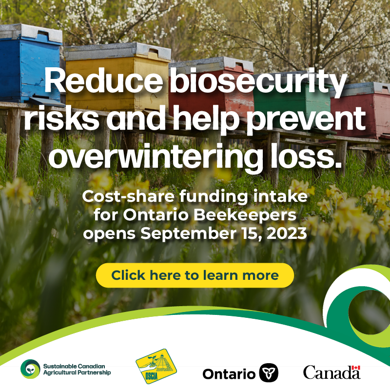 OntarioSoilCrop's tweet photo. Hey Ontario #beekeepers! 

Cost-share funding intake through #SustainableCdnAg is now open! 

Projects that support healthy bee colonies and help increase the sustainability of the beekeeping industry may be eligible. 

Check it out now. 
https://t.co/vyhWKAhZFD

#OntAg