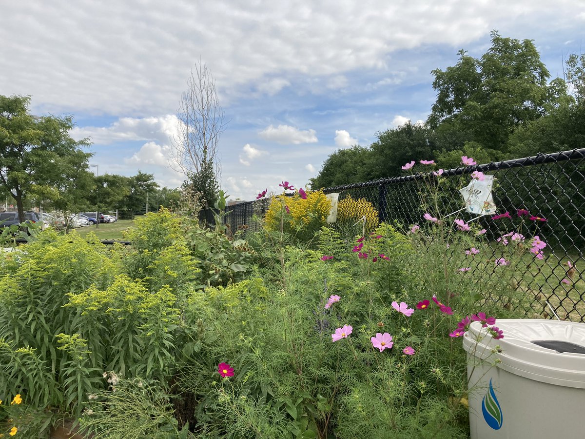 Monica Chadha tweet media