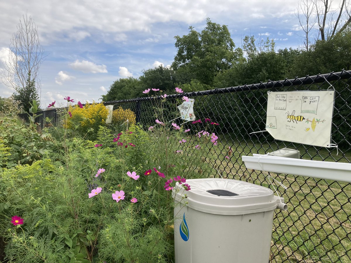 Monica Chadha tweet media