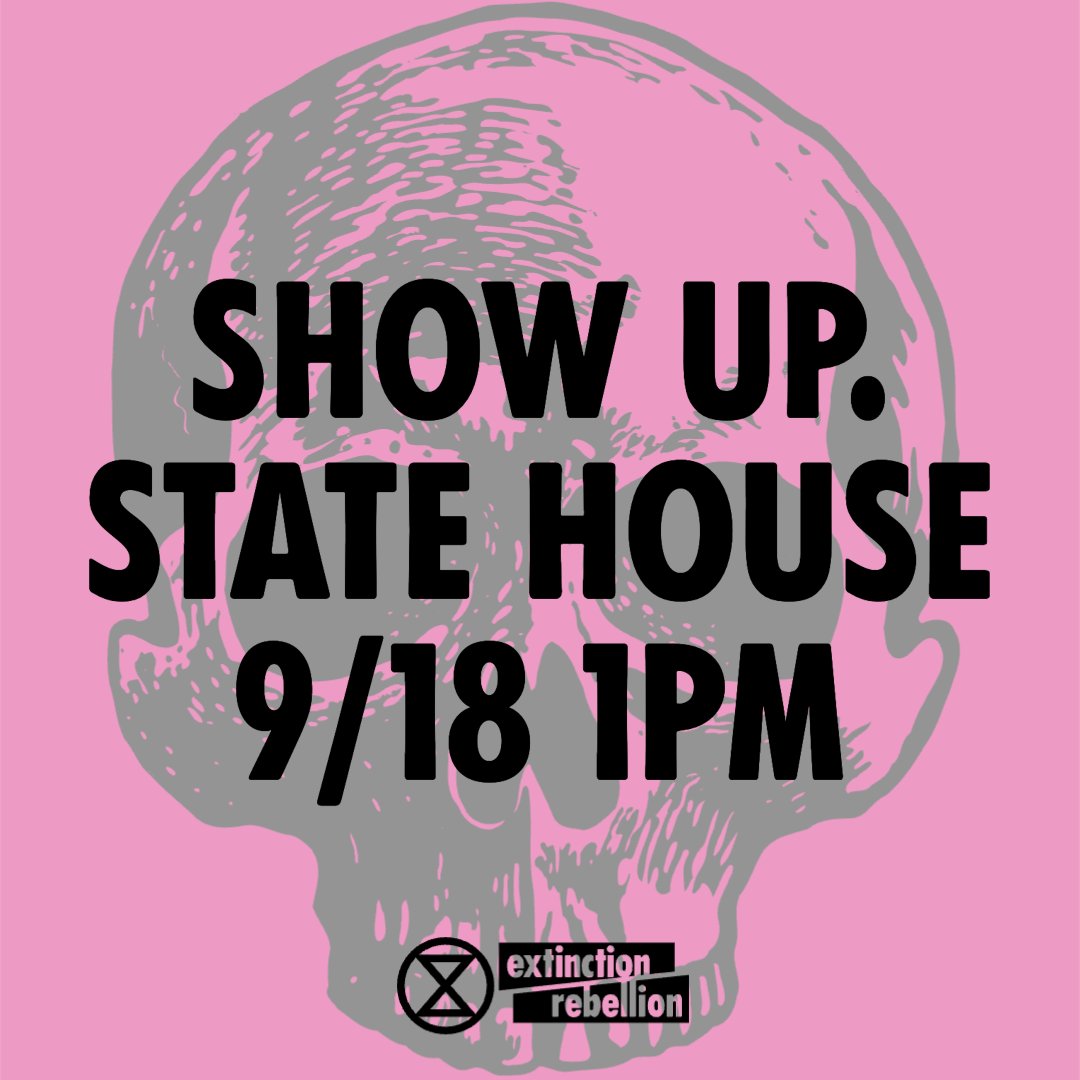 Extinction Rebellion Boston 🐝⌛🦋 tweet media
