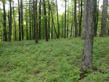 ConservationTrust4NC tweet media