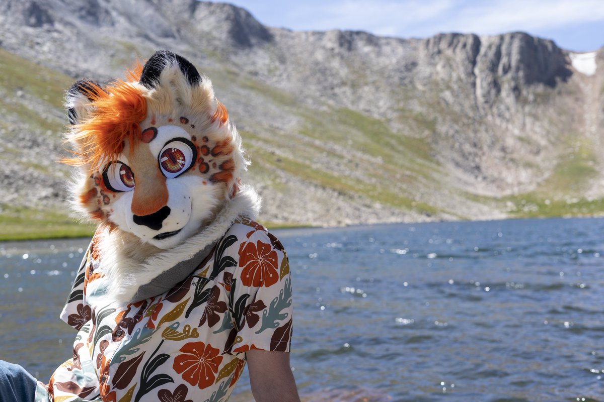 vexlynx_'s tweet image. 📌
hi i’m vex, my fursona can be either a lynx or a serval :)
you’ll find more info about me as well as ways to contact me and social media on tuft.party