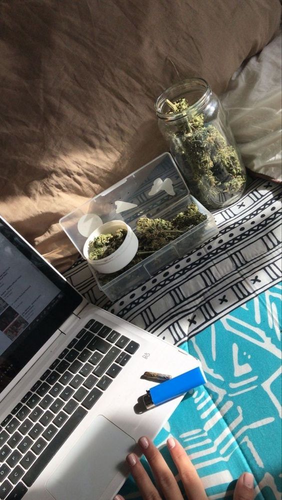 Lightshade tweet media