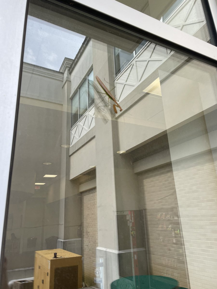 Somebody might be looking to add a class.