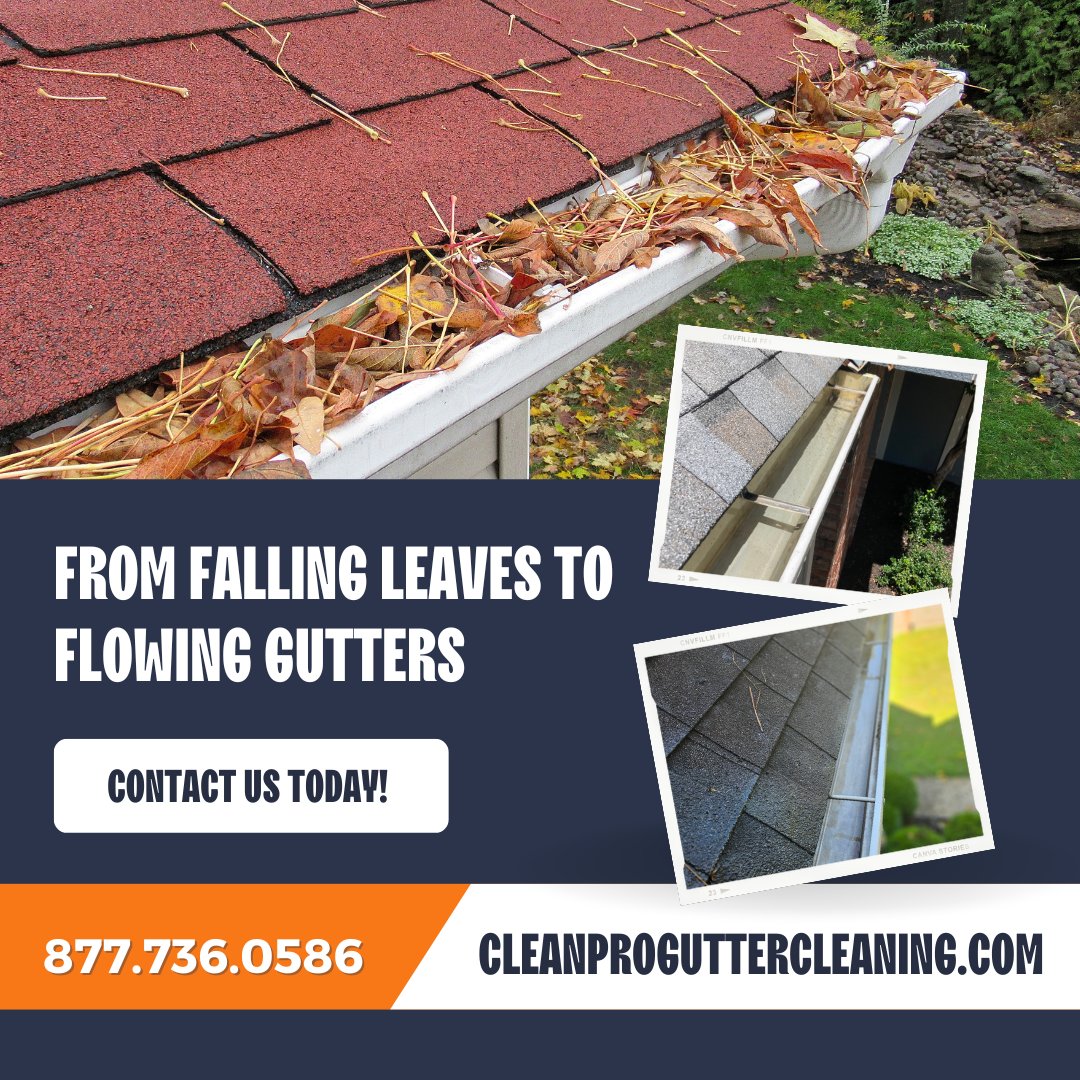 CIeanProGutters's tweet image. Hey neighbors! 🍂 Seeing those leaves starting to fall? It&apos;s a friendly reminder to get our gutters cleaned. Let&apos;s keep our homes safe from water damage. Need a hand with that? 

Give us a call at 877.736.0586. 

#GutterReady #GutterCleaning #GutterCheck #Fallguttercleaning #Fall