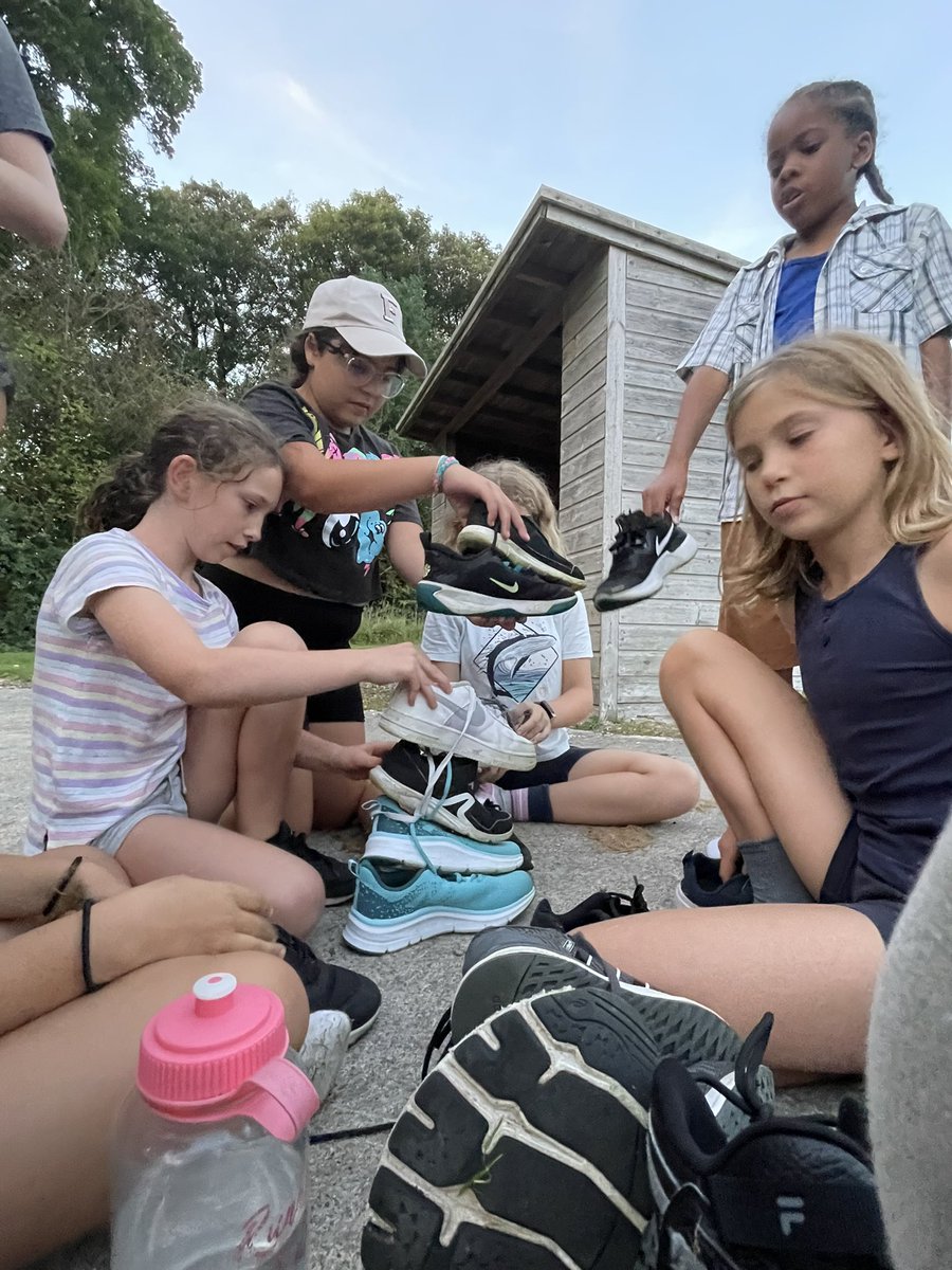 Julian's Primary tweet media