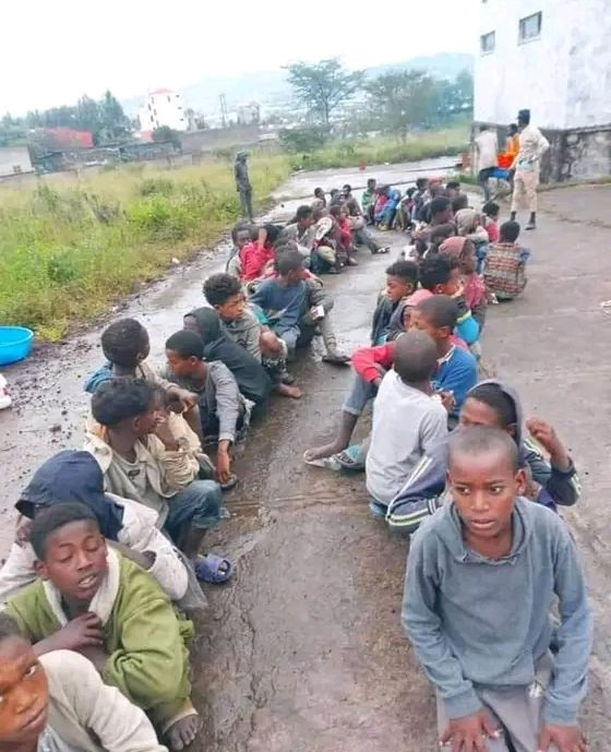 YirgaGelaw's tweet photo. As someone working in the field of human rights, I am appalled to witness the discrimination of the Amhara people by international human rights bodies. @amnesty  and @hrw are reporting on Tigray as they should but ignore the ongoing genocide against the Amhara.

Why are Amnesty International and Human Rights Watch ignoring this? Thousands of Amharas have been held in concentration camps with appalling conditions for months. Leaked images show that they are living in crowded open spaces, without clothing or shelter. Reports from @GPEthiopia show that they are barely given any food. It is heartbreaking to see children detained here too. This is on top of the massacres targeting the Amhara people.

This is nothing short of allowing or hiding the crime of genocide.

If you continue to be silent, you are helping genocide to happen. https://t.co/hGfsEnhaNw