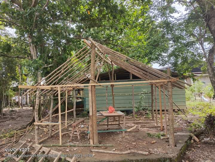 Azmatali4456's tweet photo. Low tech mushroom shed https://t.co/Q5eDh7ZfTg