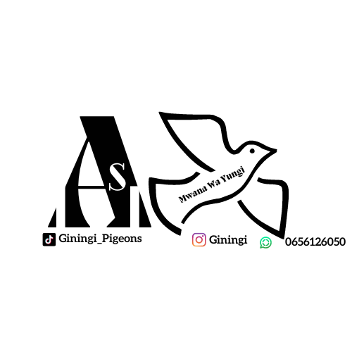 Giningi's tweet photo. #NewProfilePic https://t.co/N9roSnRndL